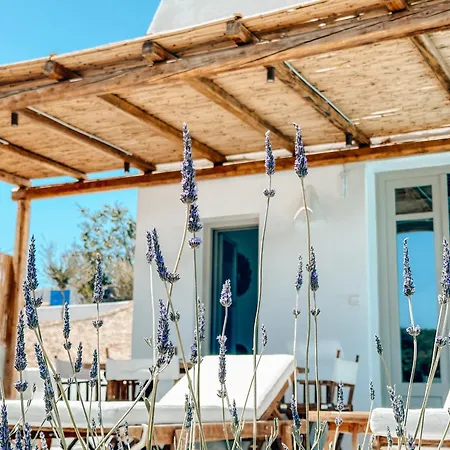 Thimari Lägenhet Fira (Santorini)